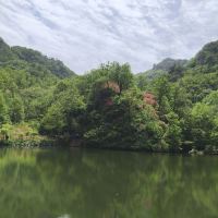 評論圖片 9