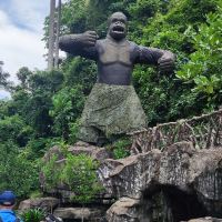 評論圖片 5