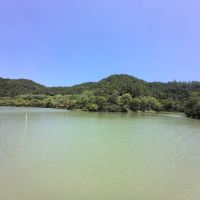 評論圖片 6