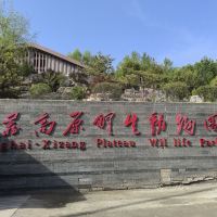 評論圖片 8