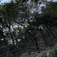 評論圖片 6