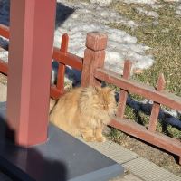 評論圖片 8