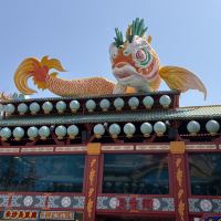 評論圖片 5