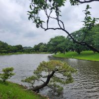 評論圖片 4