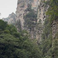 評論圖片 7