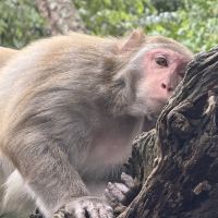 評論圖片 7