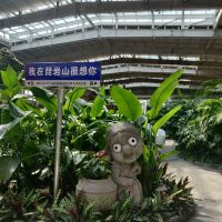 評論圖片 4