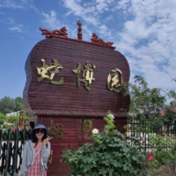 評論圖片 5