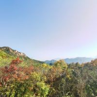 評論圖片 4