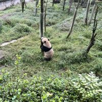 評論圖片 3
