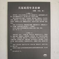 評論圖片 6