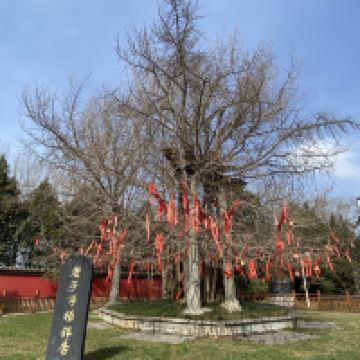 評論圖片 1