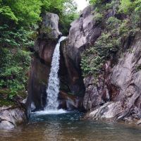 評論圖片 1