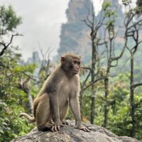 評論圖片 5