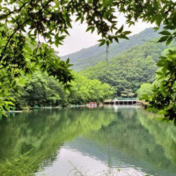 評論圖片 7
