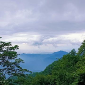 評論圖片 3