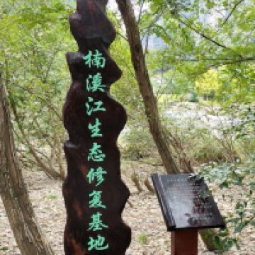 評論圖片 5