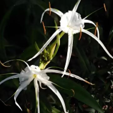 評論圖片 4