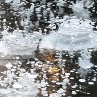評論圖片 7