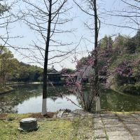 評論圖片 8