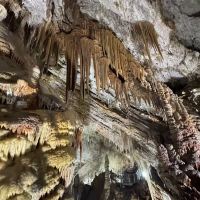 評論圖片 1