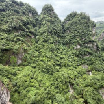 評論圖片 3