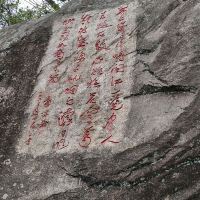 評論圖片 3
