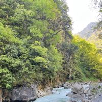 評論圖片 6