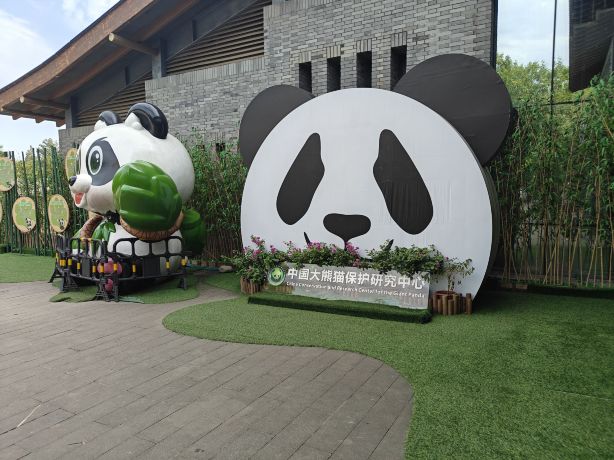 Dujiangyan Panda Base Tickets 2026: Panda Valley Tours & Prices
