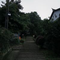 評論圖片 3
