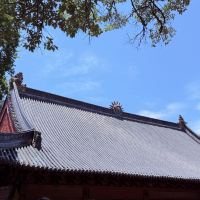評論圖片 2