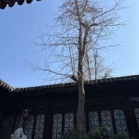 評論圖片 1