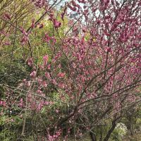 評論圖片 4