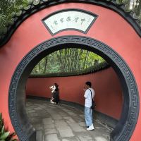 評論圖片 7