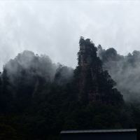 評論圖片 5
