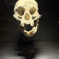 評論圖片 3