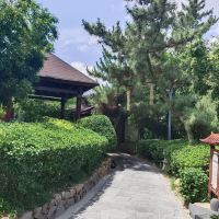 評論圖片 7