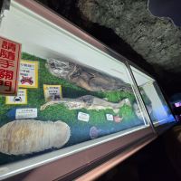 評論圖片 3