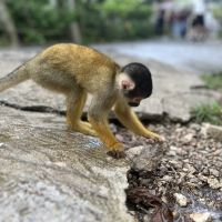 評論圖片 2