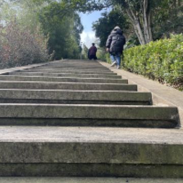 評論圖片 8