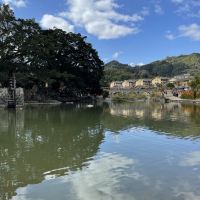 評論圖片 8