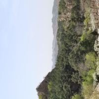 評論圖片 6