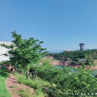 評論圖片 6