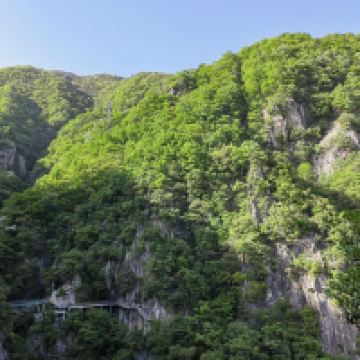 評論圖片 7