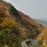 評論圖片 2