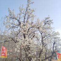 評論圖片 5