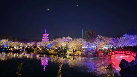 東湖櫻花園非常大，櫻花盛開的時候去欣賞了，非常美，晚上有燈光