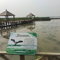 評論圖片 2