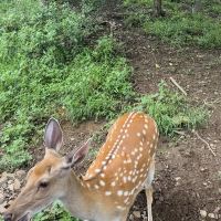 評論圖片 4
