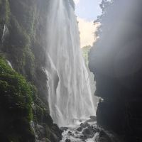 評論圖片 6